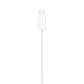 Cavo magnetico USB-C per la ricarica rapida di Apple Watch (1 m)