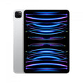 iPad Pro 11" WI-FI + Cellular 256GB \\ Argento