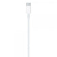 Cavo Lightning to USB-C \\ 1M