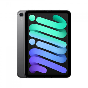 iPad mini Wi-Fi + Cellular 256GB \\ Space Grey