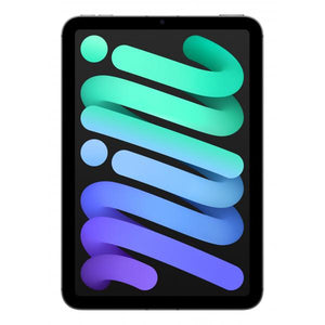 iPad mini Wi-Fi + Cellular 256GB \\ Space Grey