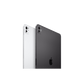 iPad Pro 11'' WI-FI 256GB con vetro standard \\ Nero
