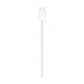 MagSafe Charger (2m)