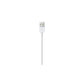 Cavo Apple da Lightning a USB \\ 0,5m