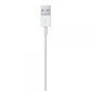 Cavo Apple da Lightning a USB \\ 1m