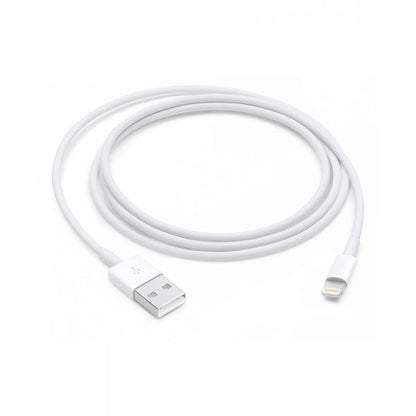 Cavo Apple da Lightning a USB \\ 1m