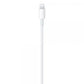 Cavo Lightning a USB-C \\ 2m