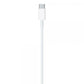 Cavo Lightning a USB-C \\ 2m