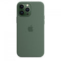 Custodia Apple MagSafe - iPhone 13 Pro Max \\ Eucalipto in silicone