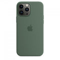 Custodia Apple MagSafe - iPhone 13 Pro Max \\ Eucalipto in silicone